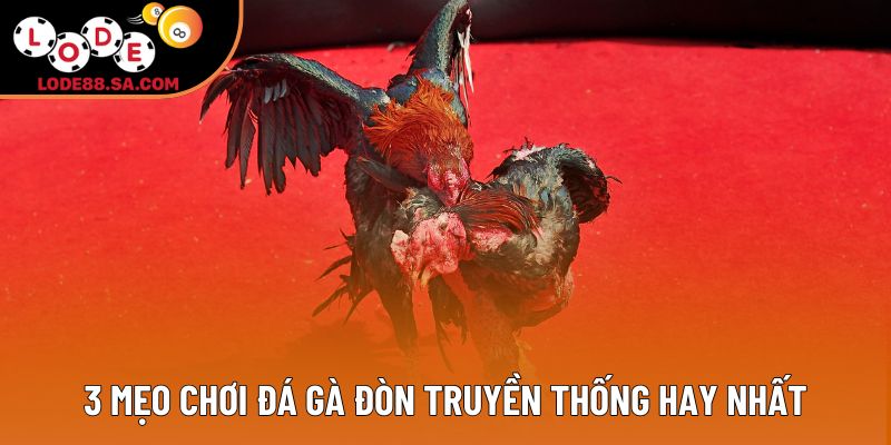 3 mẹo chơi đá gà đòn truyền thống hay nhất