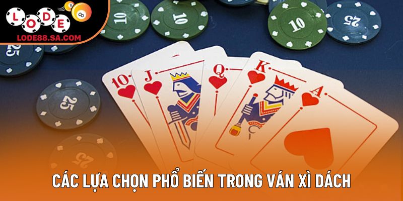 Các lựa chọn phổ biến trong ván xì dách