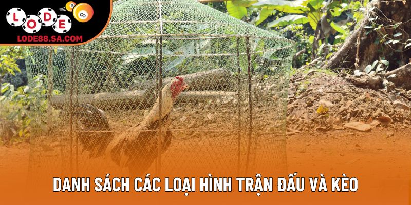 Danh sách các loại hình trận đấu và kèo