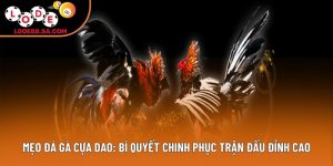 Mẹo Đá Gà Cựa Dao: Bí Quyết Chinh Phục Trận Đấu Đỉnh Cao