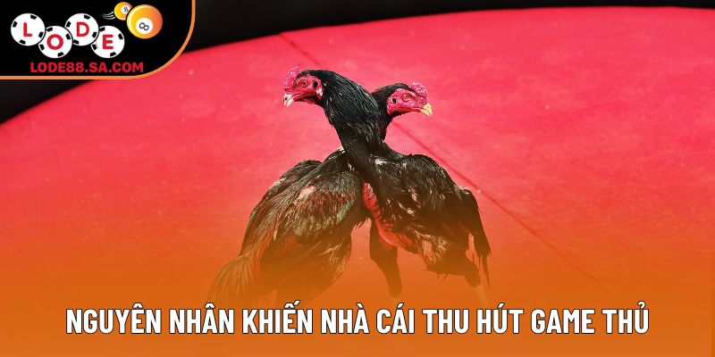 Nguyên nhân khiến nhà cái thu hút game thủ